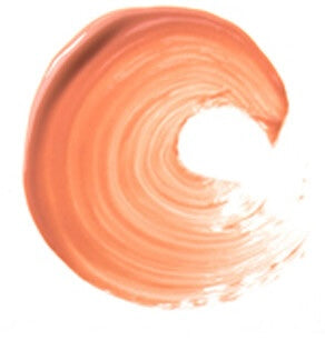 GERARD COSMETIC LIP GLOSS "SALMON"